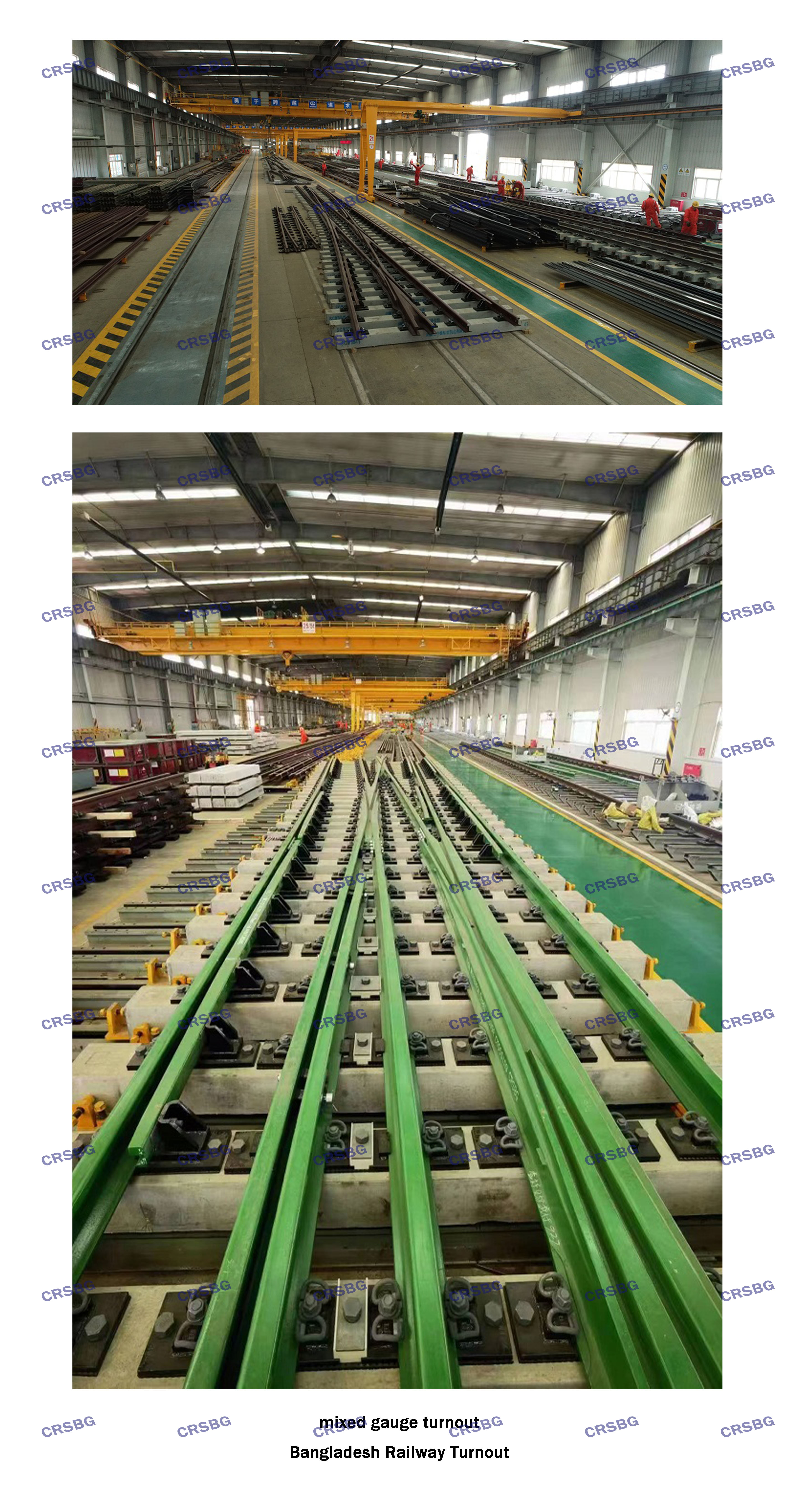 MIXED GAUGE TURNOUT（CRSBG水?。?jpg